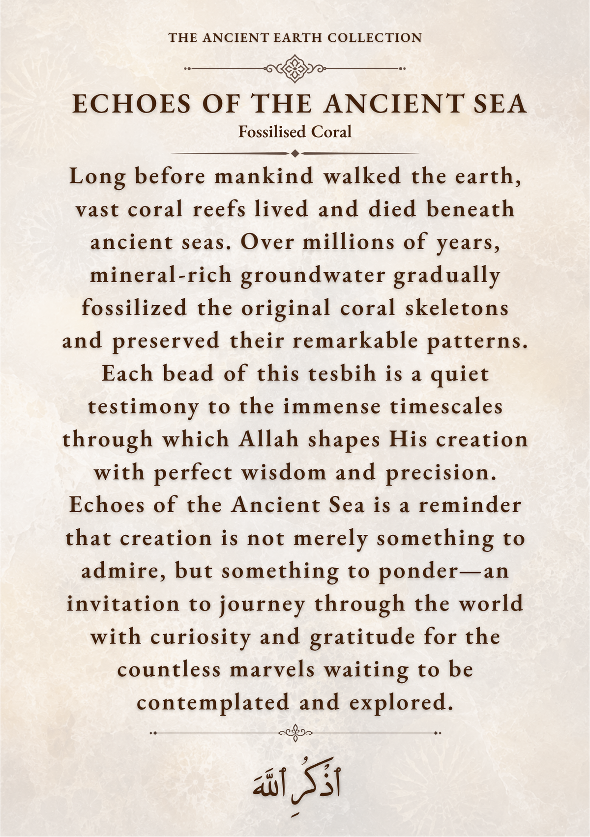 ECHOES OF THE ANCIENT SEA