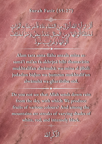 BLOSSOMS OF FAJR