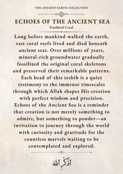 ECHOES OF THE ANCIENT SEA