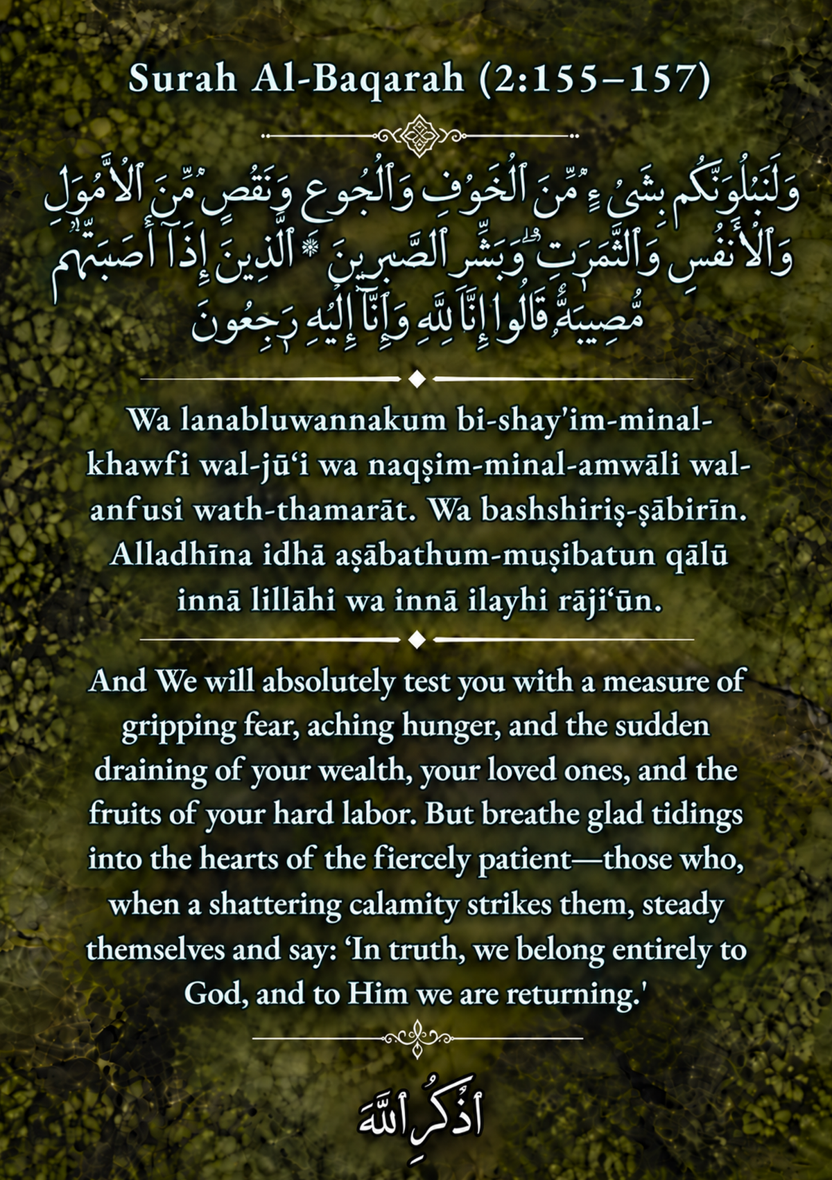 THE PATHS OF SABR