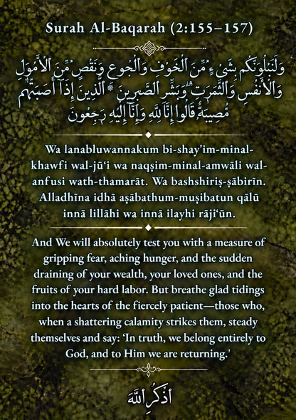 THE PATHS OF SABR