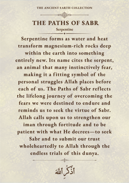 THE PATHS OF SABR
