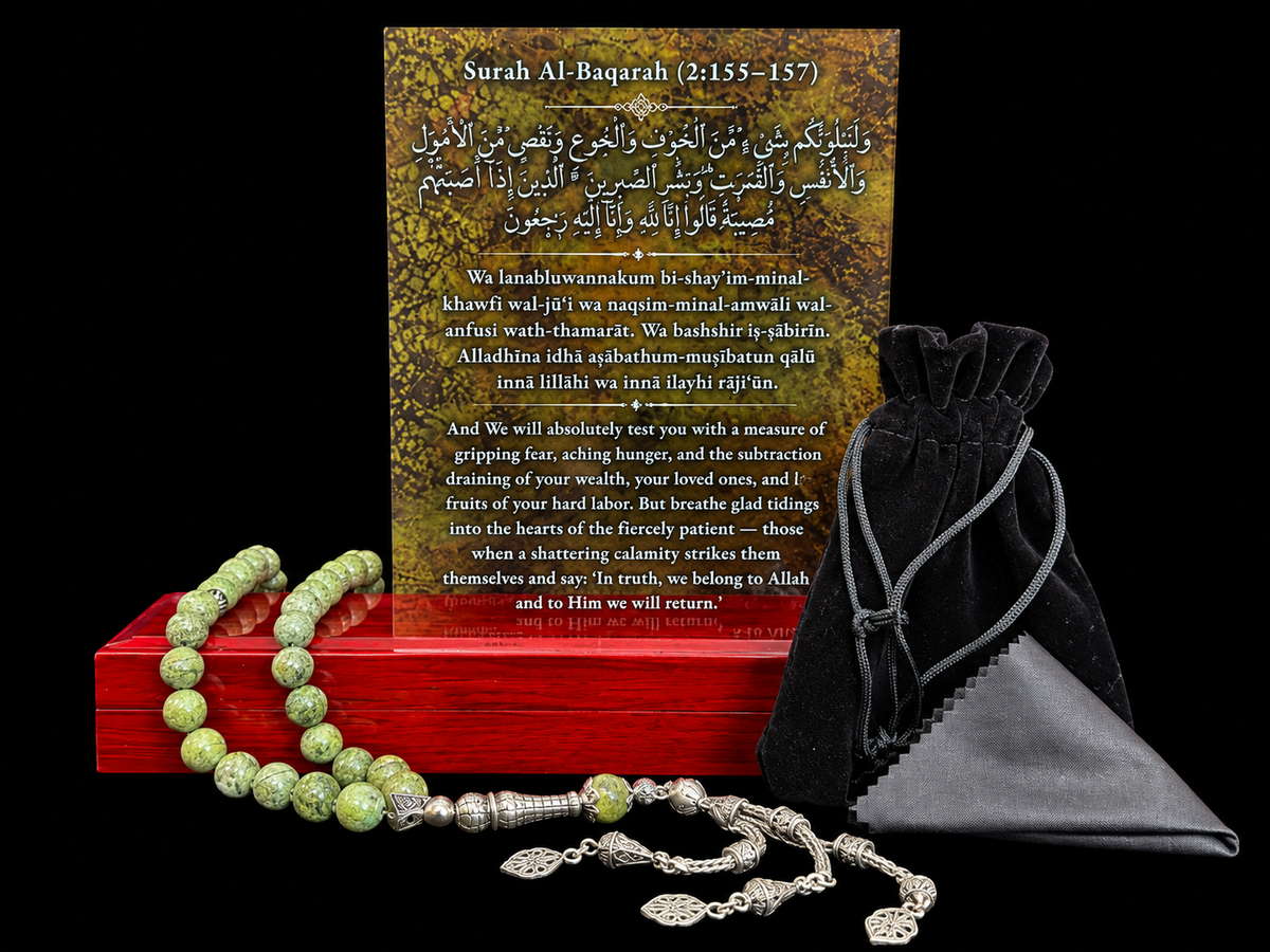 THE PATHS OF SABR