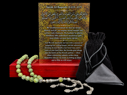THE PATHS OF SABR